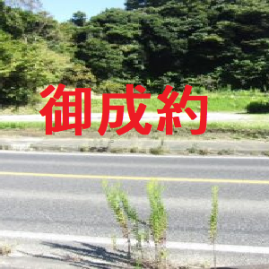 国道側