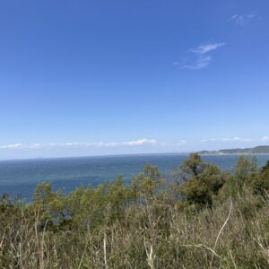 物件へ向かう道のり東京湾が広がります (周辺)