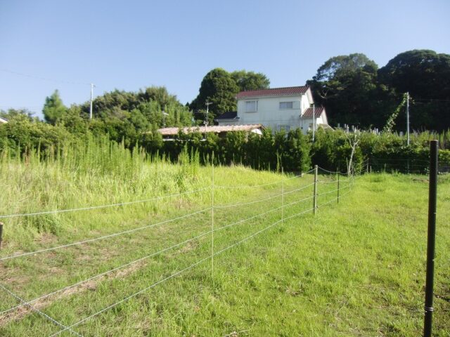 接道は赤道です。軽自動車通れます。(周辺)