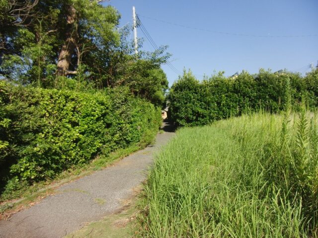 (周辺)
